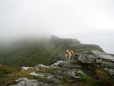 Tintagel Castle in the mist