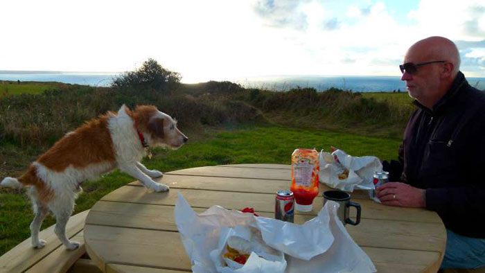 Tintagel fish and chips